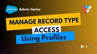 Manage Record Type Access Using Profile