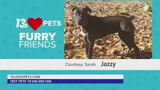 Furry Friends:  November 16, 2022 | Jazzy and Woody & Pel Pel