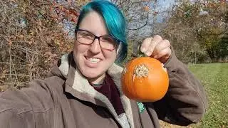 Woodpecker Bird Feeder with Leftover Halloween Pumpkin