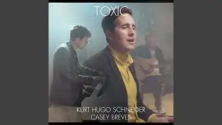 Toxic (Britney Spears Cover)