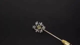 Exceptionally Rare Chameleon Diamond Antique Stick Pin Brooch M249