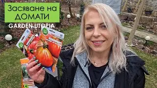 Засяване на домати | 2025 г.