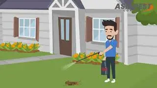 #PestControl Services in Lower Mainland - ASM Pest Control