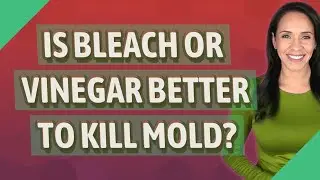 Is bleach or vinegar better to kill mold?