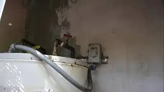 The Most Boring Bee Video
