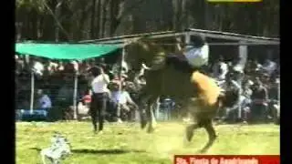 5ta Fiesta Apadrinando