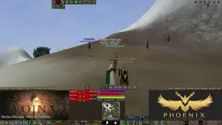 다옥 피닉스 서버(DAoC Phoenix Server)