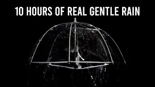 10 HOURS of REAL GENTLE RAIN