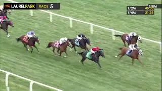 LAUREL PARK 2025-11-14 PL#99_REPLAY SHOW