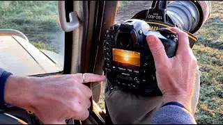 Wildlife Photography Pro Tip: Shooting Sunrises and Sunsets