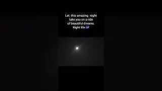 Night life | Night journey |