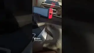 Shark Puppet Benji play Nintendo Switch
