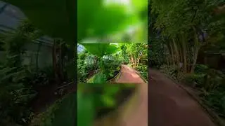 Explore in 360&deg; - The Lush Beauty of Liberec Botanical Garden #botanicalgarden #explore #adventure
