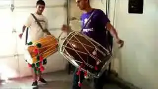 Dholis mixing it up