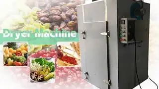 Industrial fruit and vegetable dryer dehydrator machine for dehydration chili,date palm,fish,mango