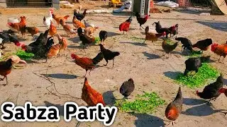 Murgio Ko Sardi Ma Sabza Khela Dya😝