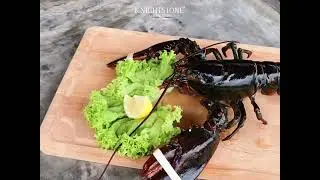 KNIGHTSTONE RESTAURANT