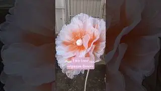 Two-tone organza petals layered by hand #organzaflower #handmadeflowers #giantflowers #diyflowers
