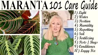 Маранта 101 Молитвенное растение * ПОЛНОЕ РУКОВОДСТВО ПО УХОДУ * 🌿 Получите тот пышный и обильный...