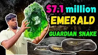 Insane Gem Mining Discovery: Unveiling the Hidden Guardian Snake!