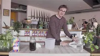 SToK Presents: How to Make Cold Brew at Home
