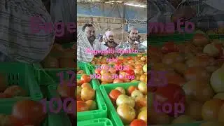 today Bagepalli Tomato rate#apmc bagepalli#
