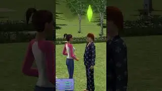 Drama in the Sims 2 Legacy Household #sims2  #legacychallenge