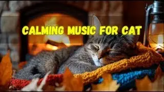 🐱 Cat Music LIVE for Stress-Free Life 🎶 | Calming Melodies for Cat Happiness and Rest