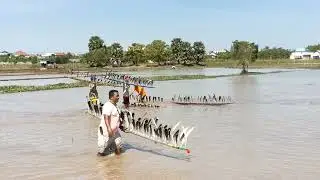 សកម្មភាពខ្លះនៃការសាកល្បឿន ទូកស្លាបមាន់ ក្នុងការប្រកួតនៅឯព្រែកបង្កង