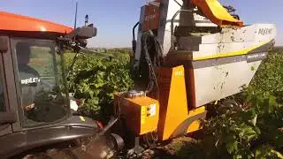 Machine à vendanger Tractée GRAPES’LINE | PELLENC
