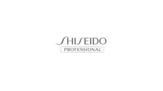 STAGE WORKS POWDER SHAKE BASIC HOWTO ENG