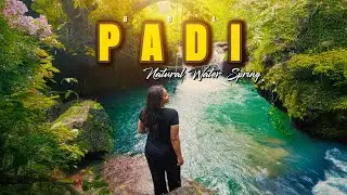 Hidden Waterfalls in South Goa  Ep 04 || English ||  Padi Water Spring || Hidden gem || Vihari pilla