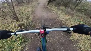 Kellys gibon w Akcji /Gork&oacute;w Głog&oacute;w