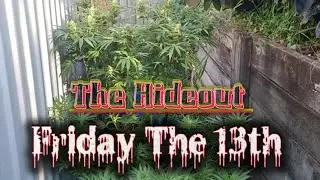 Quick Friday The 13th Update, Decoy Run.