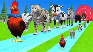 Long Slide Game With Cow Elephant Gorilla Hippopotamus Tiger 3d Animal Game T77