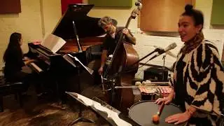 Mara Rosenbloom's Flyways - at Ibeam Brooklyn - October 17 2018