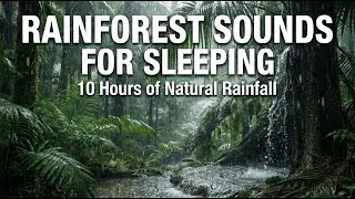 Rainforest Sounds for Sleeping - 10 Hours - Heavy Rain No Ads