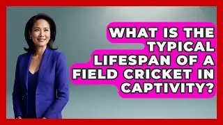 What Is The Typical Lifespan Of A Field Cricket In Captivity? - Reptilian Wonders