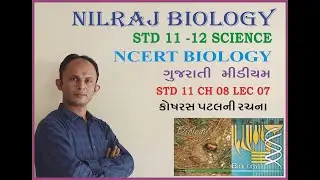 CELL : UNIT OF LIFE LEC 07 # NCERT BIOLOGY#STD 11# Kosh ras patal ni rachna# NILRAJ SIR #