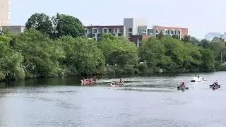 Boston Dragon Boat Race