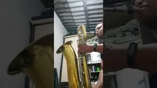 sax bar&iacute;tono . testando palheta fibracell .graves potentes.top d mais.recomendo