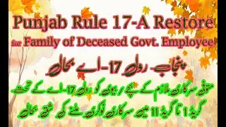 Appointment under Rule 17-A Restore Punjab | Punjab Revised Financial Assistance Package 2024