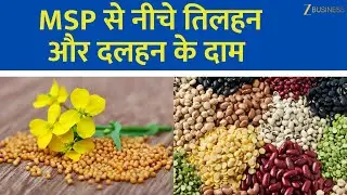 Oilseed & Pulses Prices Below MSP! Who&rsquo;s Profiting, Who&rsquo;s Losing?