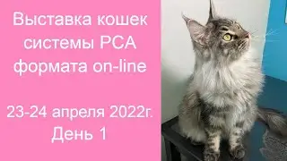 24-я выставка породистых кошек PCA on-line 23-24.04.2022г День 1