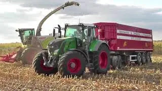 Mais Häckseln 2018 mit der zweitgrößten Miezekatze v.  Claas Teil 2.