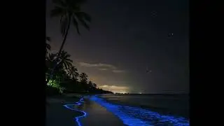 [Free] Larry June Type Beat - SERENITY