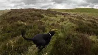 Kilpatrick Hills 29/05/2022 with Kiwi