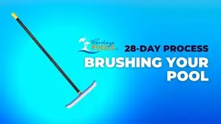 28 Day Process Pool Brushing