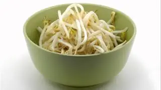 Salmonella Outbreak from Wonton Foods Bean Sprouts