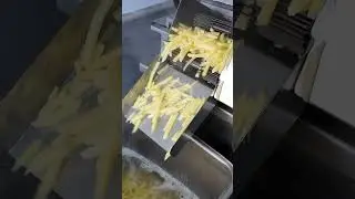 Automatic Fryer #fryer #machine #fryingmachine #frenchfries